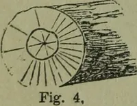 An illustration from The Canadian farm annual for 1880 published in Connection with the Weekly Mail (1880)