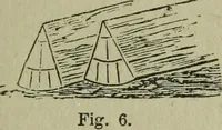 Picture 20 of 124 from The Canadian farm annual for 1880 published in Connection with the Weekly Mail (1880), leaf 20