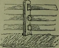 An illustration from The Canadian farm annual for 1880 published in Connection with the Weekly Mail (1880)