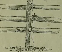 An illustration from The Canadian farm annual for 1880 published in Connection with the Weekly Mail (1880)