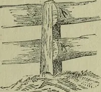 An illustration from The Canadian farm annual for 1880 published in Connection with the Weekly Mail (1880)