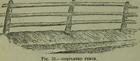 An illustration from The Canadian farm annual for 1880 published in Connection with the Weekly Mail (1880)