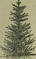 An illustration from The Canadian farm annual for 1880 published in Connection with the Weekly Mail (1880)