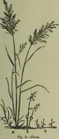 An illustration from The Canadian farm annual for 1880 published in Connection with the Weekly Mail (1880)