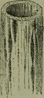 An illustration from The Canadian farm annual for 1880 published in Connection with the Weekly Mail (1880)