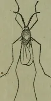 An illustration from The Canadian farm annual for 1880 published in Connection with the Weekly Mail (1880)