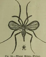 An illustration from The Canadian farm annual for 1880 published in Connection with the Weekly Mail (1880)