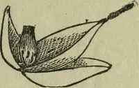 An illustration from The Canadian farm annual for 1880 published in Connection with the Weekly Mail (1880)