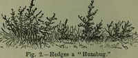 Picture 51 of 124 from The Canadian farm annual for 1880 published in Connection with the Weekly Mail (1880), leaf 35