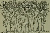 An illustration from The Canadian farm annual for 1880 published in Connection with the Weekly Mail (1880)