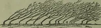 An illustration from The Canadian farm annual for 1880 published in Connection with the Weekly Mail (1880)