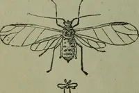 An illustration from The Canadian farm annual for 1880 published in Connection with the Weekly Mail (1880)