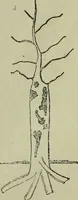 An illustration from The Canadian farm annual for 1880 published in Connection with the Weekly Mail (1880)