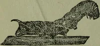 An illustration from The Canadian farm annual for 1880 published in Connection with the Weekly Mail (1880)