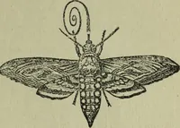 An illustration from The Canadian farm annual for 1880 published in Connection with the Weekly Mail (1880)