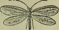An illustration from The Canadian farm annual for 1880 published in Connection with the Weekly Mail (1880)
