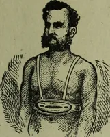 An illustration from The Canadian farm annual for 1880 published in Connection with the Weekly Mail (1880)