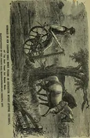 An illustration from The Canadian farm annual for 1880 published in Connection with the Weekly Mail (1880)