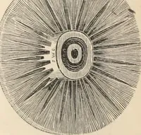 An illustration from Canadian jeweller 1879-1881 (1879)