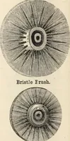 Picture 58 of 113 from Canadian jeweller 1879-1881 (1879), leaf 141