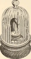 An illustration from Canadian jeweller 1879-1881 (1879)