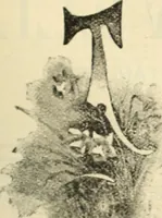 Picture 166 of 435 from Canadian jeweller 1890 (1890), leaf 244