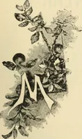 An illustration from Canadian jeweller 1890 (1890)