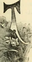 An illustration from Canadian jeweller 1890 (1890)