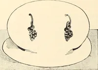 Picture 263 of 436 from Canadian jeweller 1890 (1890), leaf 419
