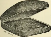 An illustration from Canadian jeweller 1890 (1890)
