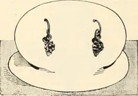 Picture 288 of 436 from Canadian jeweller 1890 (1890), leaf 479