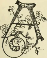 An illustration from Canadian jeweller 1890 (1890)