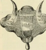 An illustration from Canadian jeweller 1890 (1890)