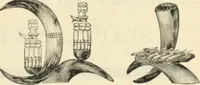 Picture 335 of 436 from Canadian jeweller 1890 (1890), leaf 564