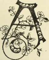 An illustration from Canadian jeweller 1890 (1890)