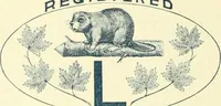 An illustration from Canadian jeweller 1900 (1900)