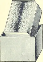An illustration from Canadian jeweller 1900 (1900)