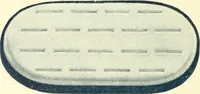 Picture 186 of 303 from Canadian jeweller 1900 (1900), leaf 317