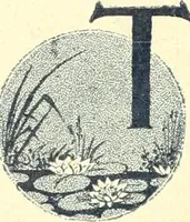 Picture 240 of 303 from Canadian jeweller 1900 (1900), leaf 427