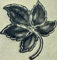 An illustration from Canadian jeweller 1900 (1900)