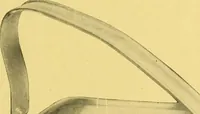 An illustration from Canadian jeweller 1920 (1920)