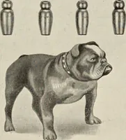 An illustration from Canadian jeweller 1920 (1920)