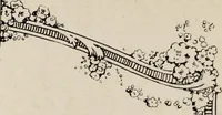 An illustration from Canadian jeweller 1920 (1920)