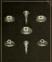 An illustration from Canadian jeweller 1920 (1920)