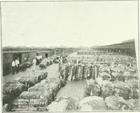 Picture 50 of 105 from Canadian textile journal (1908), leaf 169