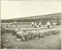Picture 51 of 105 from Canadian textile journal (1908), leaf 170