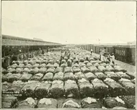 Picture 52 of 105 from Canadian textile journal (1908), leaf 170