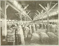 Picture 53 of 105 from Canadian textile journal (1908), leaf 170
