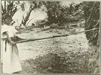 Picture 97 of 105 from Canadian textile journal (1908), leaf 340