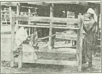 An illustration from Canadian textile journal (1908)